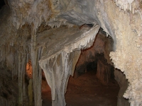 Shields in Lehman Cave